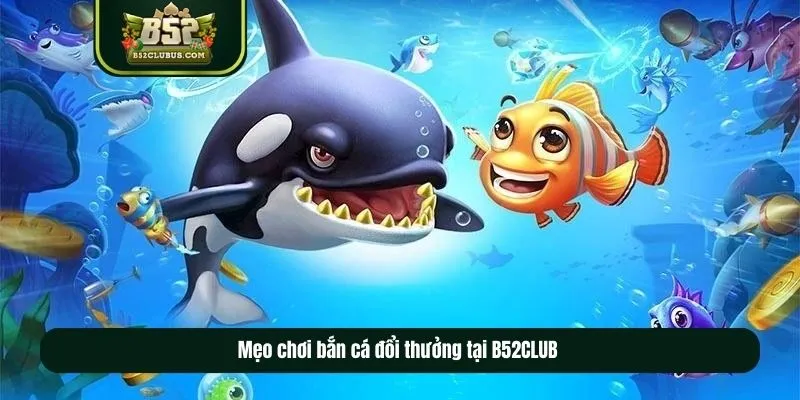 Mẹo chơi bắn cá đổi thưởng tại B52CLUB